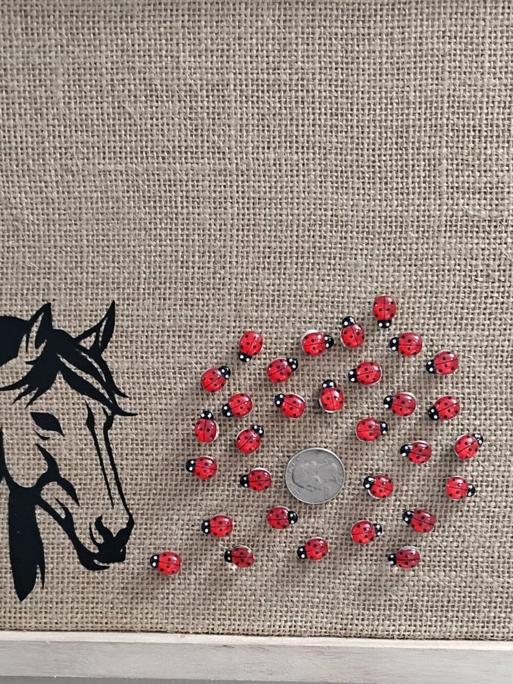30 Pcs Cute Red & Black Ladybugs Decorative Bulletin Board Push Pins